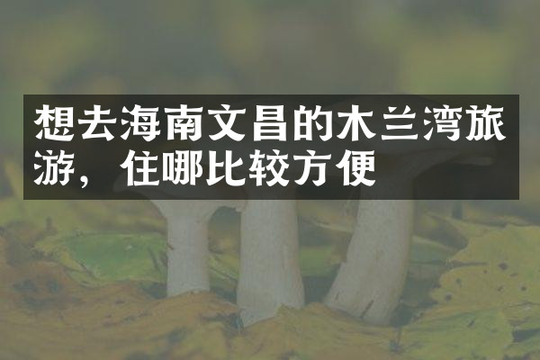 想去海南文昌的木兰湾旅游，住哪比较方便
