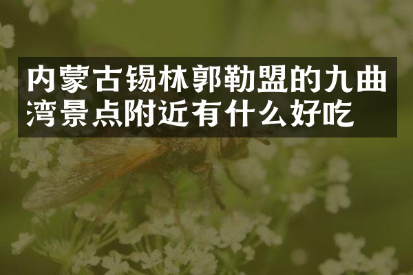 内蒙古锡林郭勒盟的九曲湾景点附近有什么好吃的