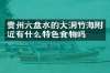 贵州六盘水的大洞竹海附近有什么特色食物吗