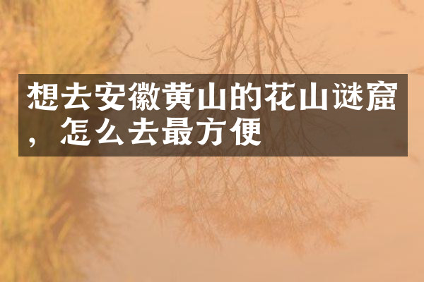 想去安徽黄山的花山谜窟，怎么去最方便