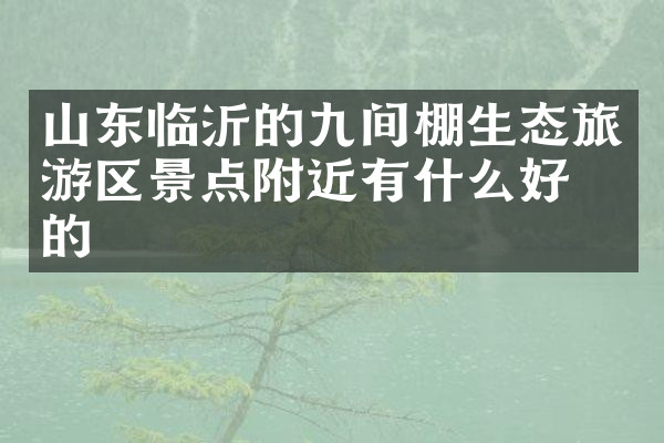 山东临沂的九间棚生态旅游区景点附近有什么好吃的