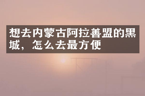 想去内蒙古阿拉善盟的黑城，怎么去最方便