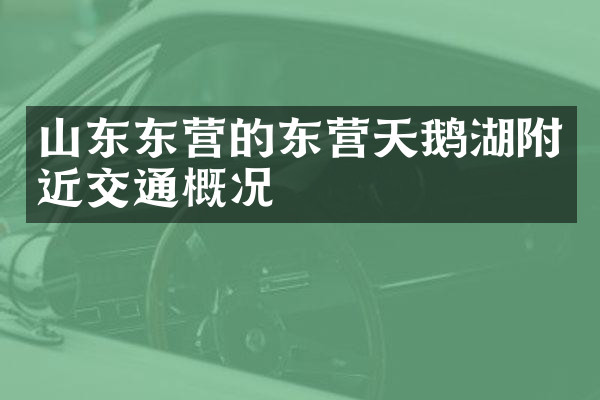 山东东营的东营天鹅湖附近交通概况