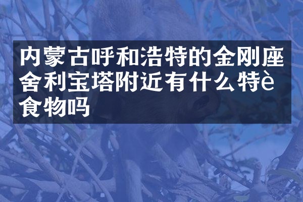 内蒙古呼和浩特的金刚座舍利宝塔附近有什么特色食物吗