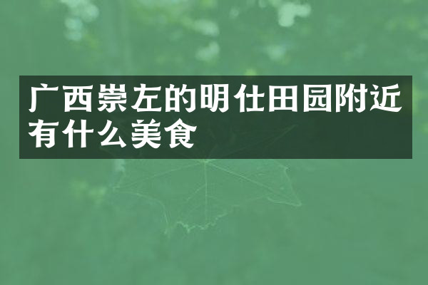 广西崇左的明仕田园附近有什么美食