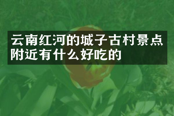 云南红河的城子古村景点附近有什么好吃的