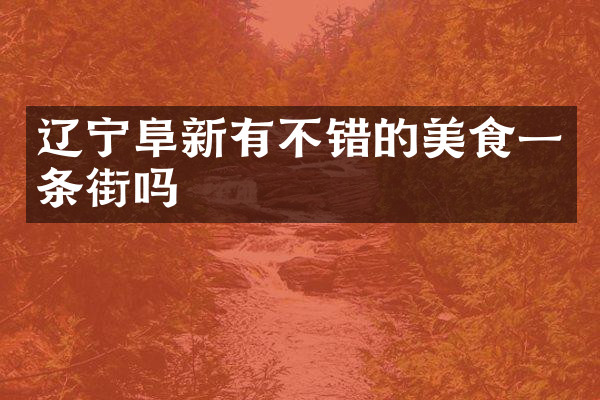 辽宁阜新有不错的美食一条街吗