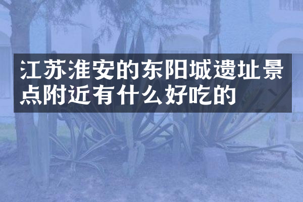 江苏淮安的东阳城遗址景点附近有什么好吃的