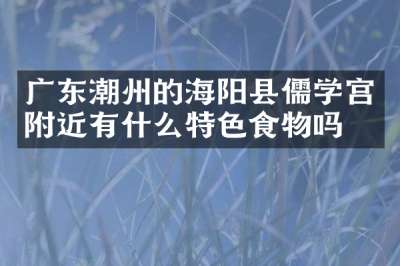 广东潮州的海阳县儒学宫附近有什么特色食物吗