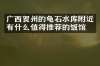 广西贺州的龟石水库附近有什么值得推荐的饭馆吗