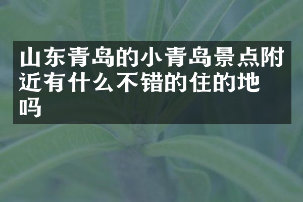 山东青岛的小青岛景点附近有什么不错的住的地方吗