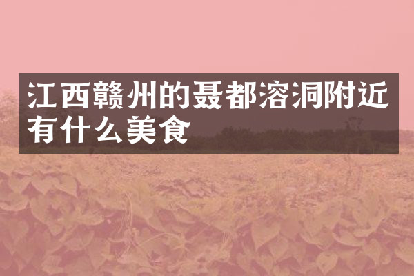 江西赣州的聂都溶洞附近有什么美食