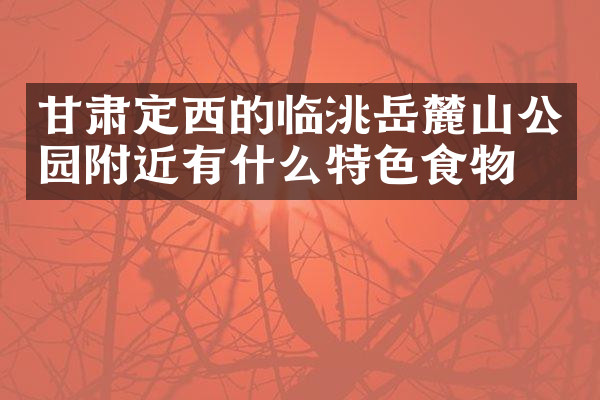 甘肃定西的临洮岳麓山公园附近有什么特色食物吗