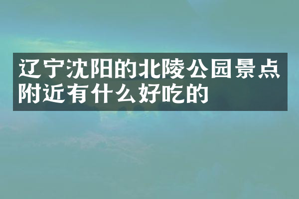 辽宁沈阳的北陵公园景点附近有什么好吃的