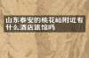 山东泰安的桃花峪附近有什么酒店旅馆吗