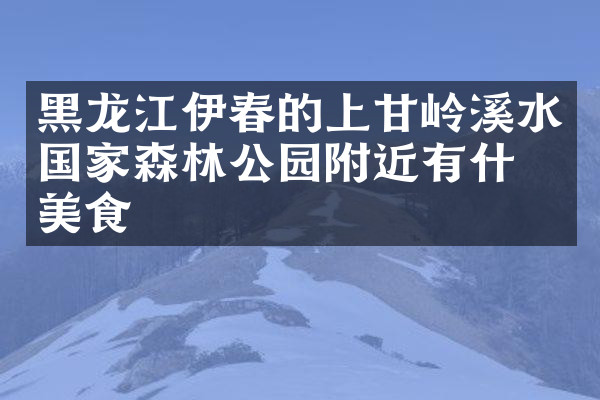 黑龙江伊春的上甘岭溪水国家森林公园附近有什么美食