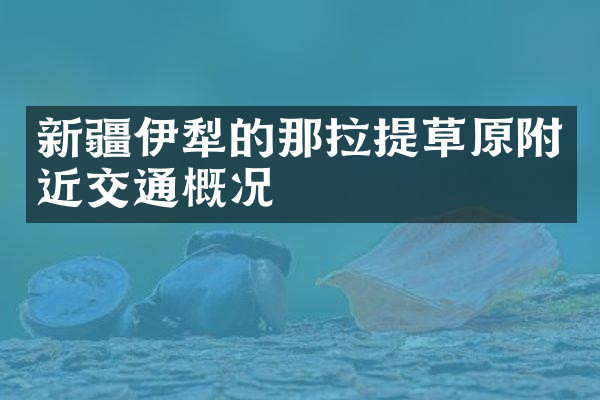 新疆伊犁的那拉提草原附近交通概况