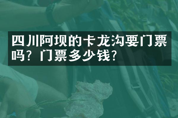 四川阿坝的卡龙沟要门票吗？门票多少钱？