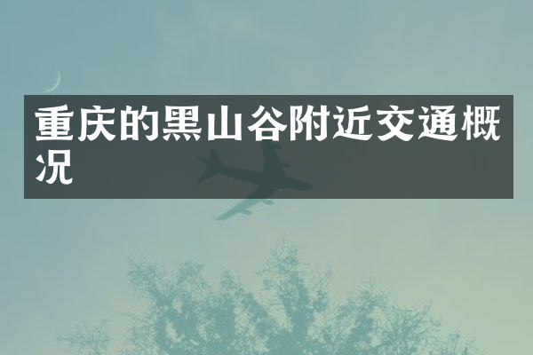 重庆的黑山谷附近交通概况