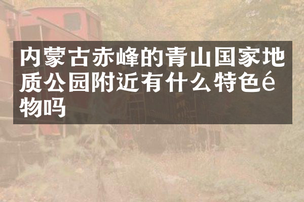 内蒙古赤峰的青山国家地质公园附近有什么特色食物吗
