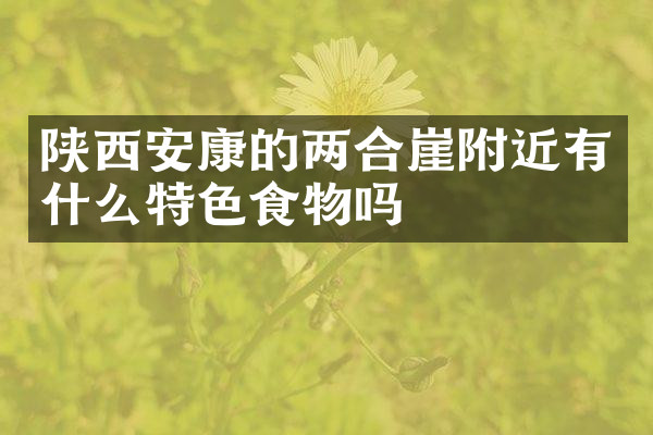 陕西安康的两合崖附近有什么特色食物吗