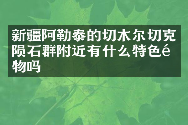 新疆阿勒泰的切木尔切克陨石群附近有什么特色食物吗