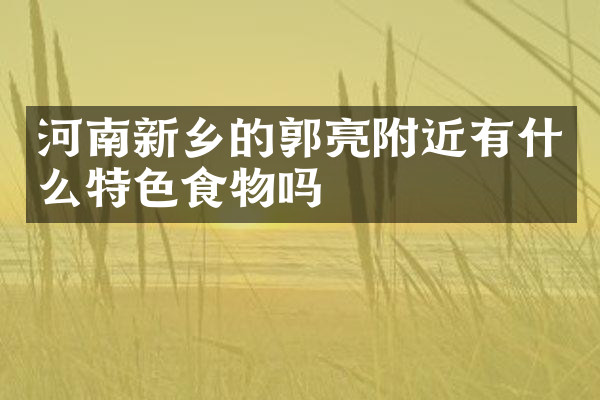 河南新乡的郭亮附近有什么特色食物吗