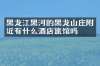黑龙江黑河的黑龙山庄附近有什么酒店旅馆吗