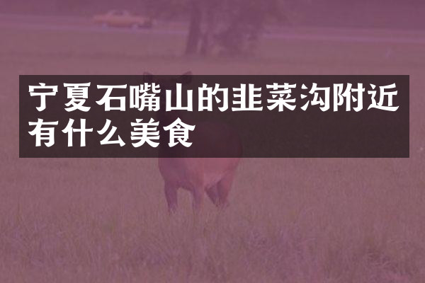 宁夏石嘴山的韭菜沟附近有什么美食