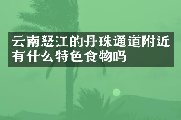 云南怒江的丹珠通道附近有什么特色食物吗