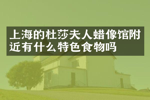 上海的杜莎夫人蜡像馆附近有什么特色食物吗