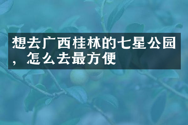 想去广西桂林的七星公园，怎么去最方便