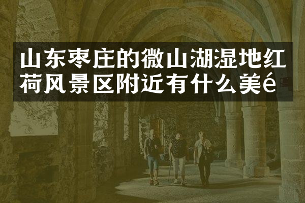 山东枣庄的微山湖湿地红荷风景区附近有什么美食