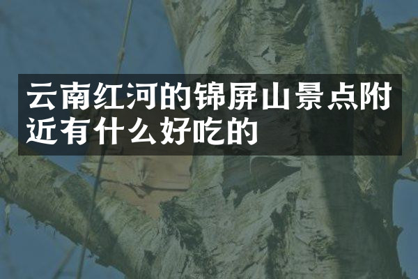 云南红河的锦屏山景点附近有什么好吃的