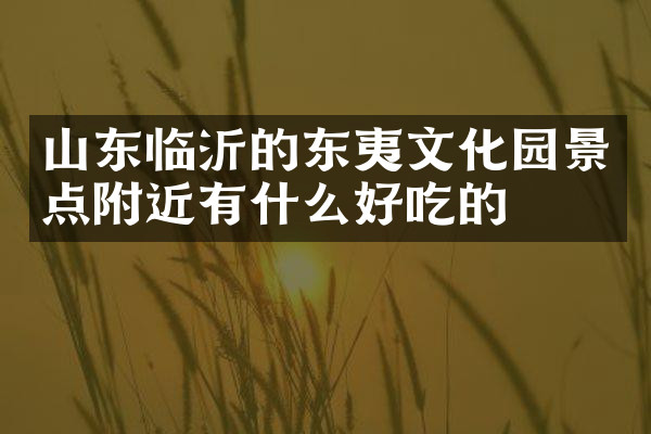 山东临沂的东夷文化园景点附近有什么好吃的