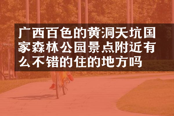 广西百色的黄猄洞天坑国家森林公园景点附近有什么不错的住的地方吗