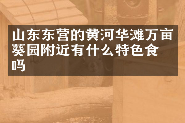 山东东营的黄河华滩万亩葵园附近有什么特色食物吗