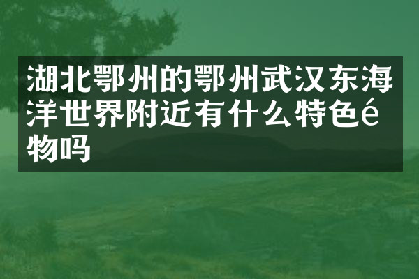 湖北鄂州的鄂州武汉东海洋世界附近有什么特色食物吗