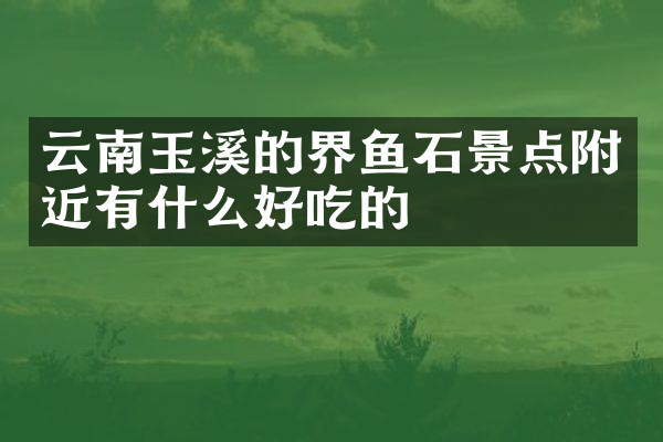 云南玉溪的界鱼石景点附近有什么好吃的