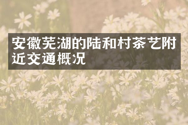 安徽芜湖的陆和村茶艺附近交通概况