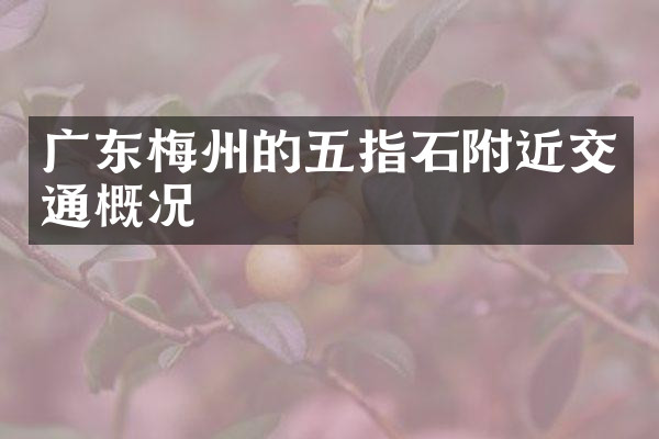 广东梅州的五指石附近交通概况