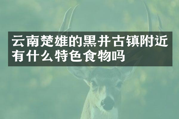 云南楚雄的黑井古镇附近有什么特色食物吗