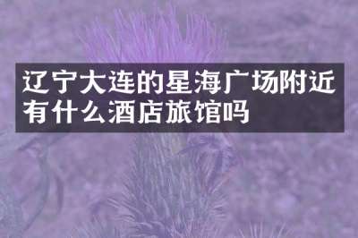 辽宁大连的星海广场附近有什么酒店旅馆吗