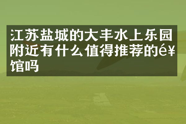 江苏盐城的大丰水上乐园附近有什么值得推荐的饭馆吗