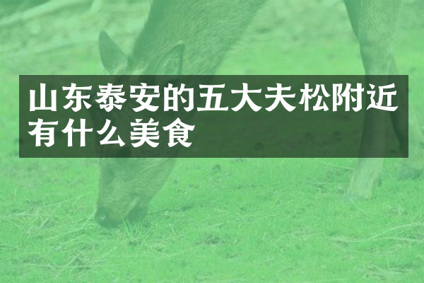 山东泰安的五大夫松附近有什么美食