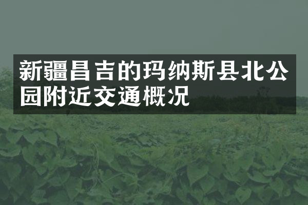 新疆昌吉的玛纳斯县北公园附近交通概况
