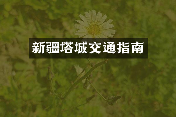 新疆塔城交通指南