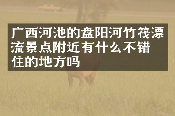广西河池的盘阳河竹筏漂流景点附近有什么不错的住的地方吗