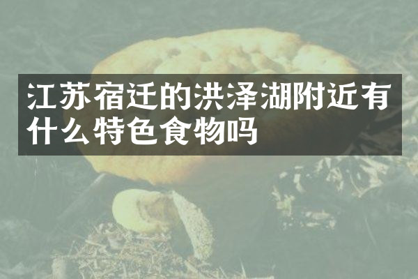 江苏宿迁的洪泽湖附近有什么特色食物吗