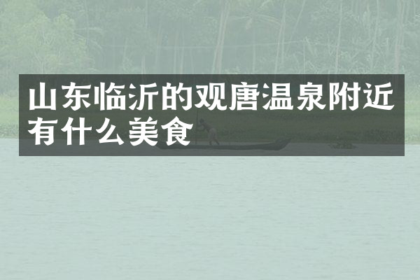 山东临沂的观唐温泉附近有什么美食